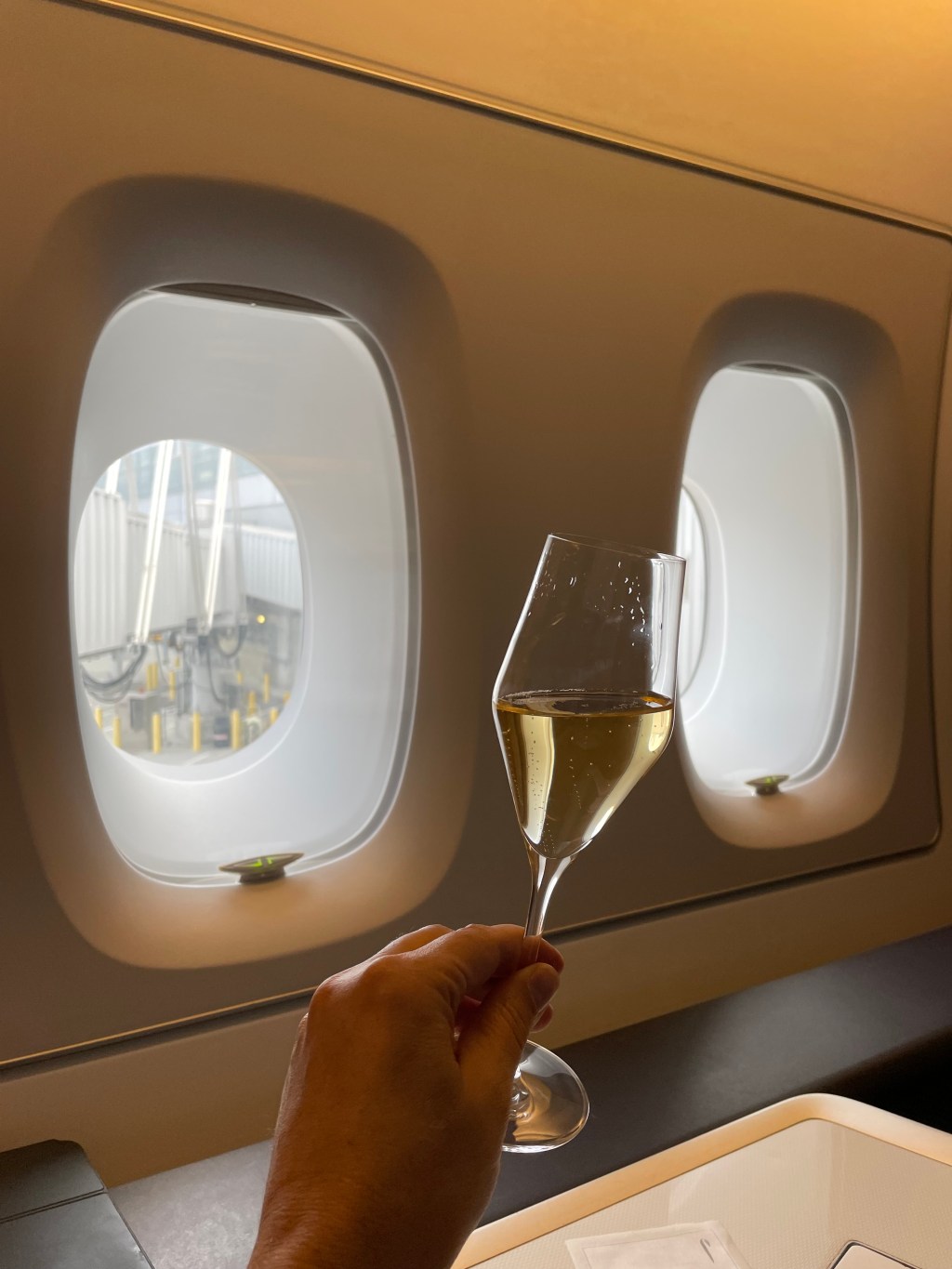 Arriving TLV, Security Begins in the&nbsp;Air